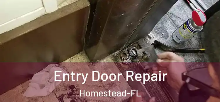  Entry Door Repair Homestead-FL