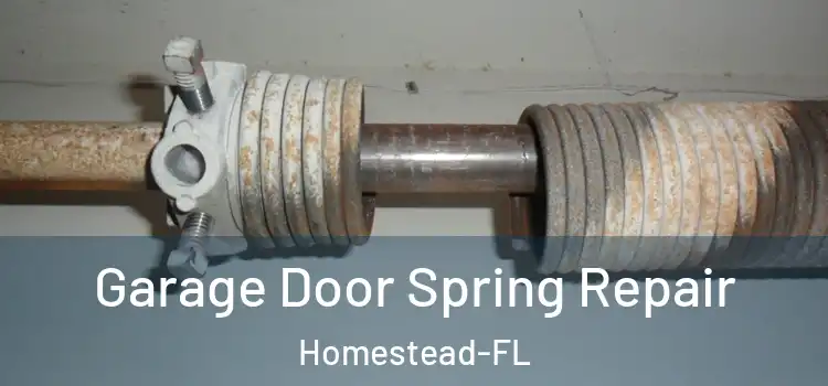 Garage Door Spring Repair Homestead-FL