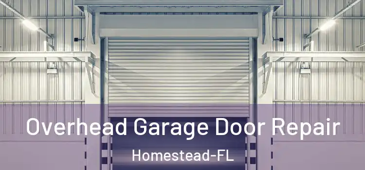 Overhead Garage Door Repair Homestead-FL